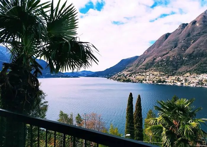 The Palm * Pognana Lario